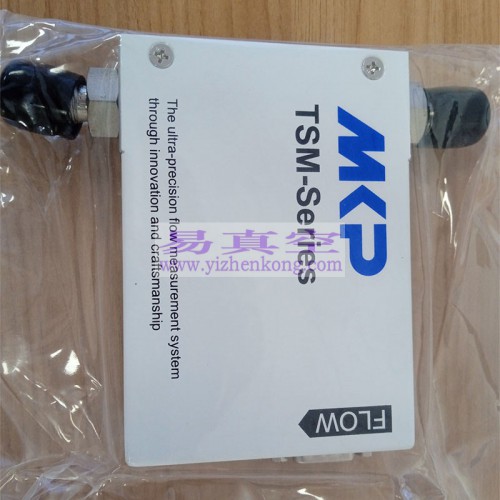 MKP  TSM-D220数字型气体质量流量计